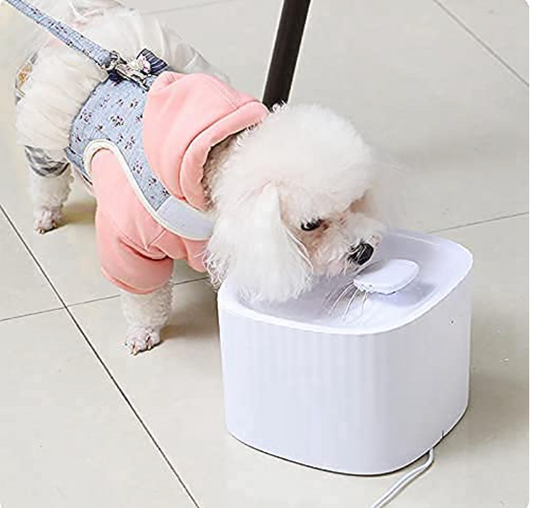 Cat & Puppy Water Fountain Automatic Lighting LED Plastic Dog Water Dispenser Pet Drinking Fountain Quiet Filter Universal Indoor...
