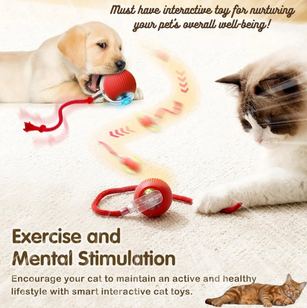 Rolling ball with Tail Made with Pet friendly material